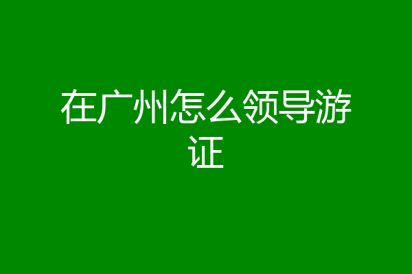 在广州怎么领导游证