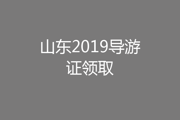 山东2019导游证领取