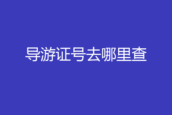 导游证号去哪里查