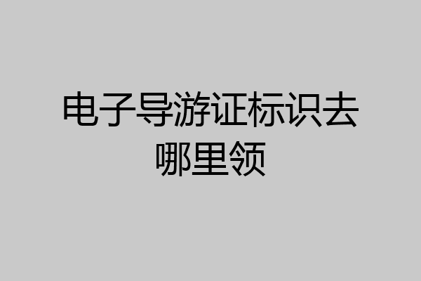电子导游证标识去哪里领