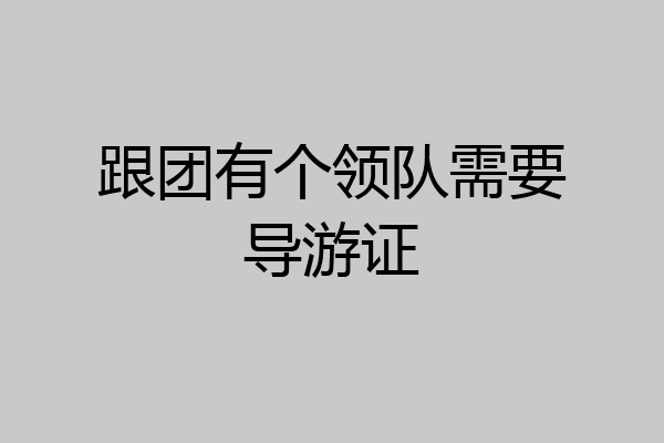 跟团有个领队需要导游证
