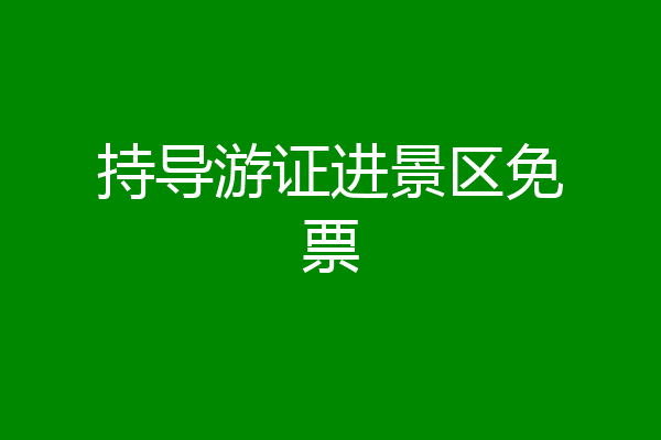 持导游证进景区免票