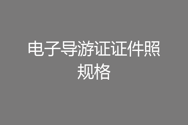 电子导游证证件照规格