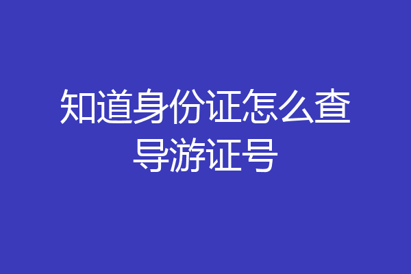 知道身份证怎么查导游证号