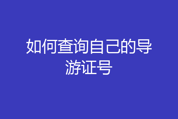 如何查询自己的导游证号