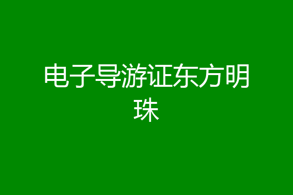 电子导游证东方明珠