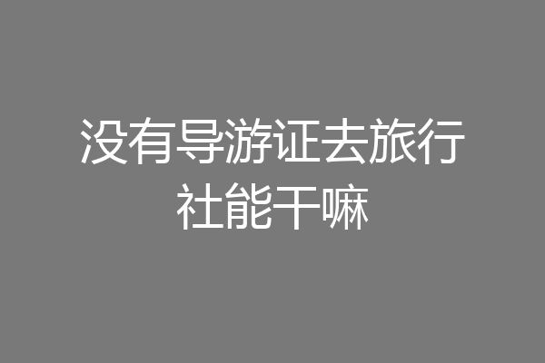 没有导游证去旅行社能干嘛