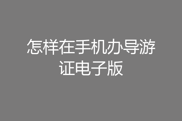怎样在手机办导游证电子版
