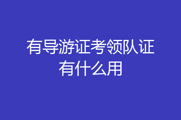 有导游证考领队证有什么用