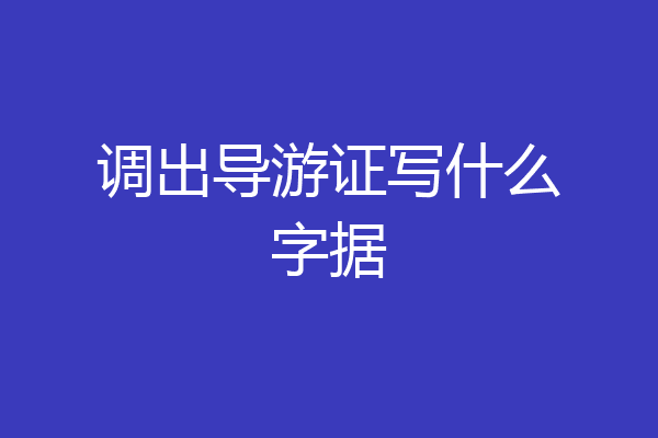 调出导游证写什么字据