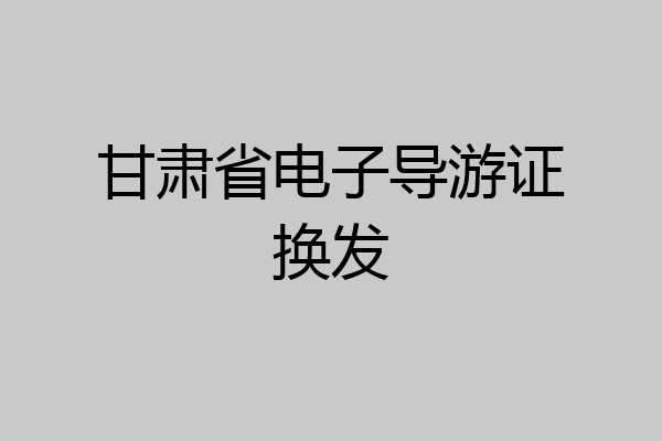甘肃省电子导游证换发