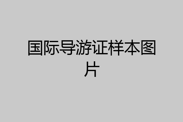 国际导游证样本图片