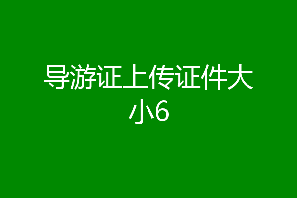 导游证上传证件大小6