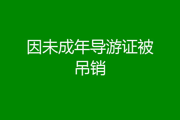 因未成年导游证被吊销