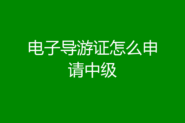 电子导游证怎么申请中级