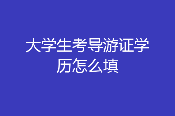 大学生考导游证学历怎么填
