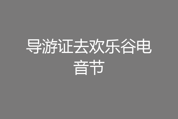 导游证去欢乐谷电音节
