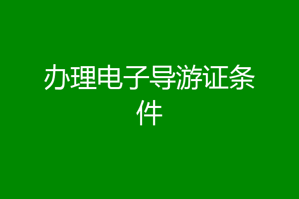 办理电子导游证条件