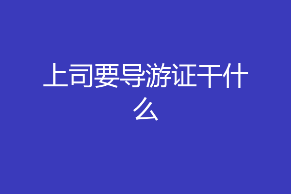 上司要导游证干什么