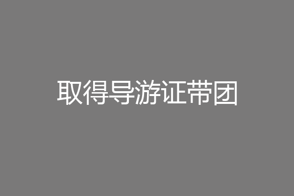 取得导游证带团