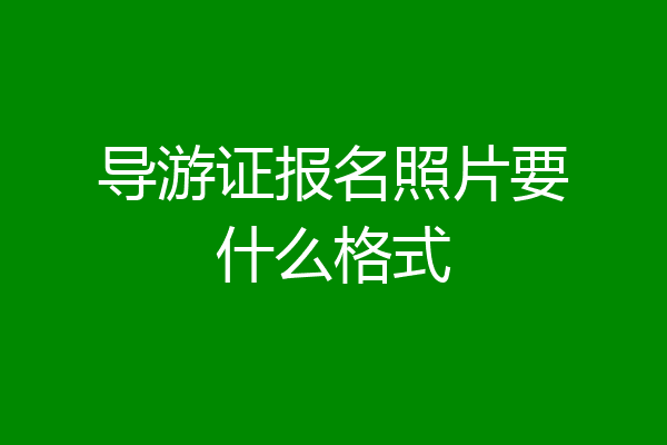 导游证报名照片要什么格式