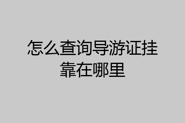 怎么查询导游证挂靠在哪里