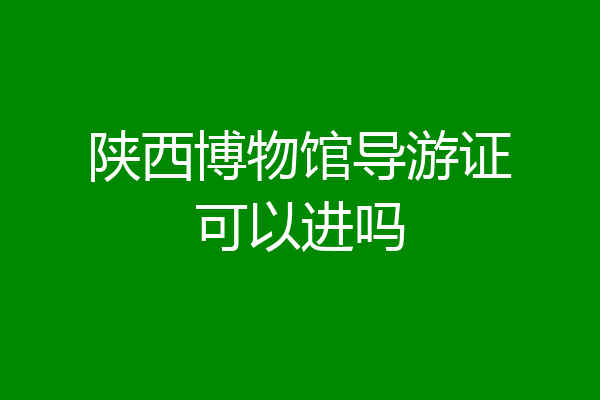 陕西博物馆导游证可以进吗