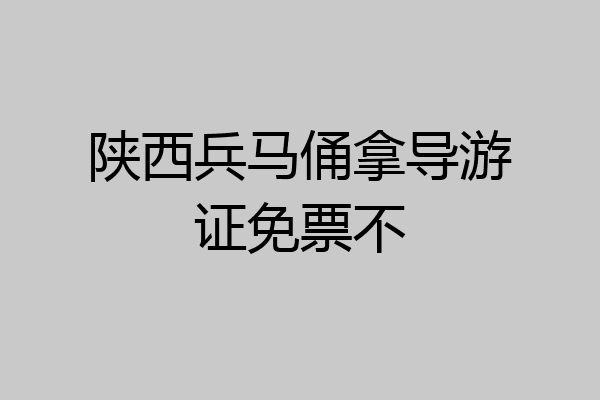 陕西兵马俑拿导游证免票不