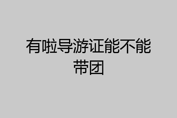 有啦导游证能不能带团