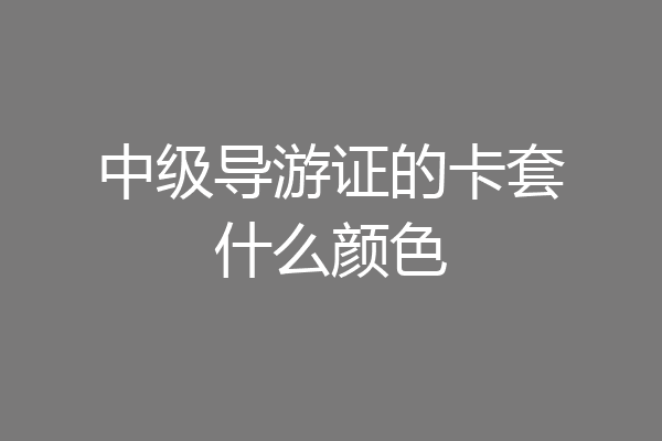 中级导游证的卡套什么颜色