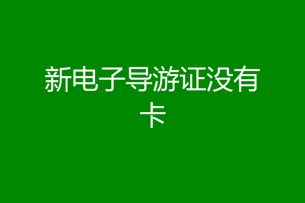 新电子导游证没有卡
