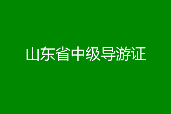山东省中级导游证