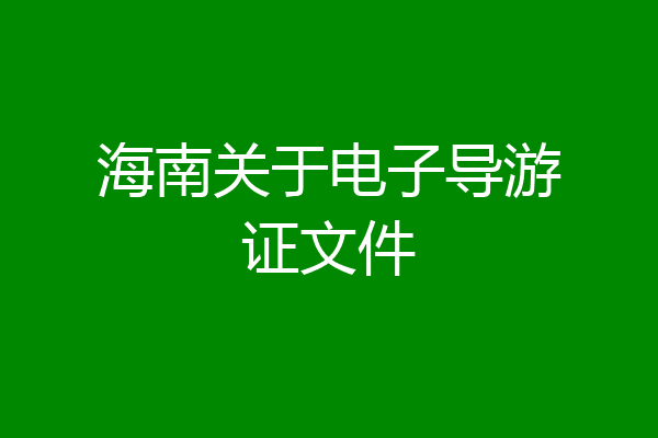 海南关于电子导游证文件