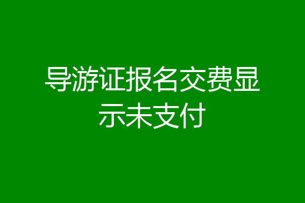 导游证报名交费显示未支付