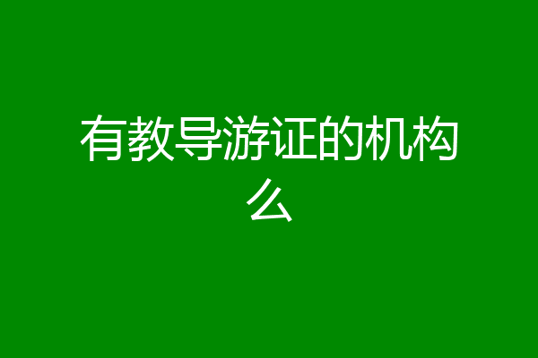 有教导游证的机构么