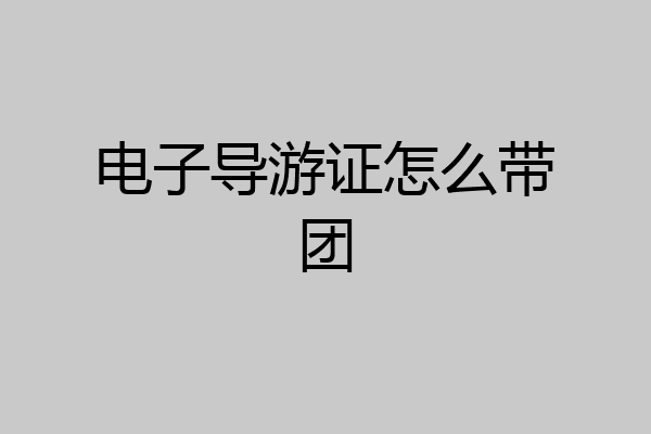 电子导游证怎么带团