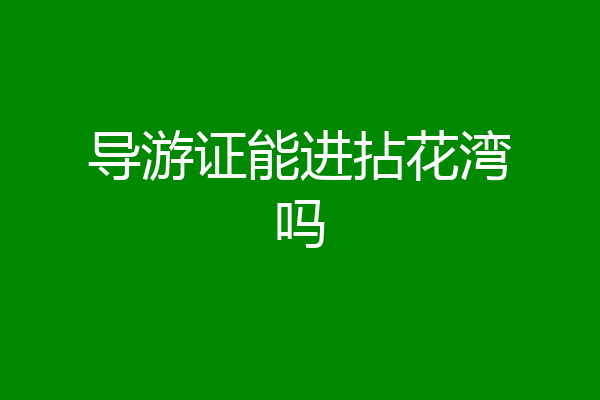 导游证能进拈花湾吗