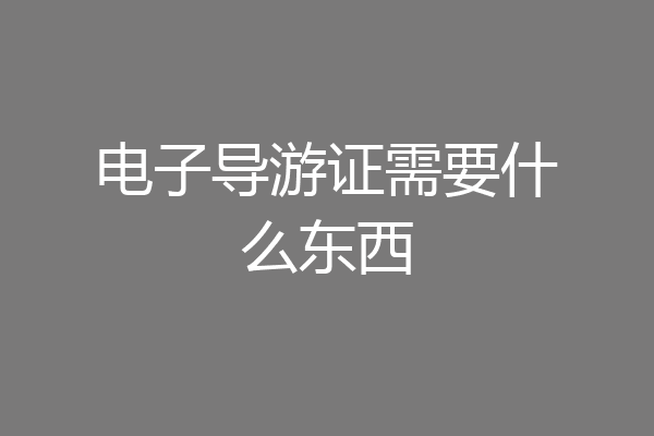 电子导游证需要什么东西