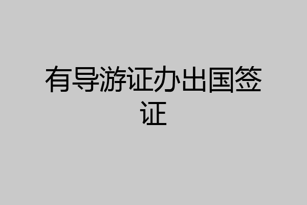 有导游证办出国签证