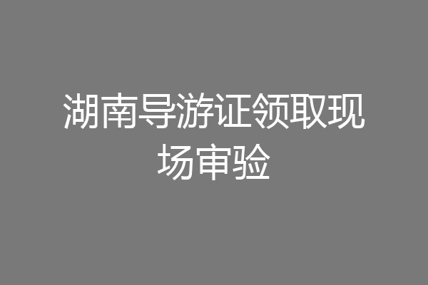 湖南导游证领取现场审验