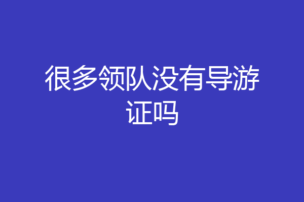 很多领队没有导游证吗