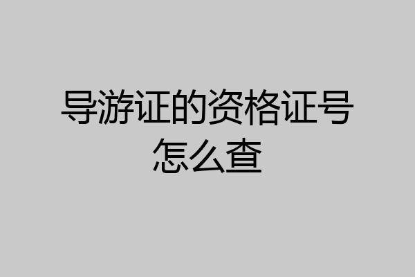 导游证的资格证号怎么查