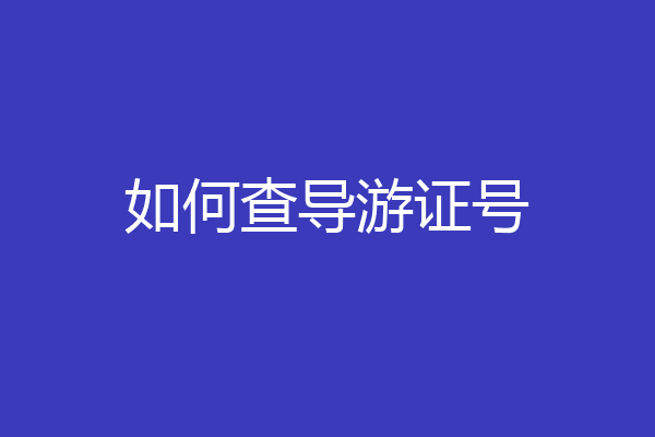 如何查导游证号