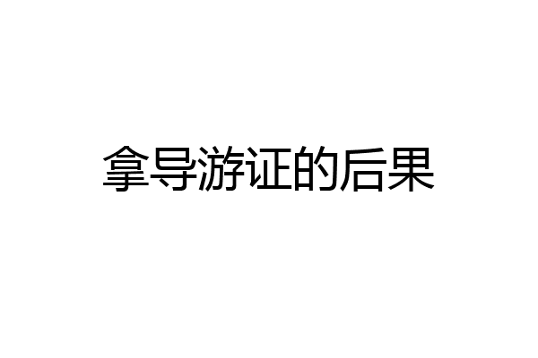 拿导游证的后果