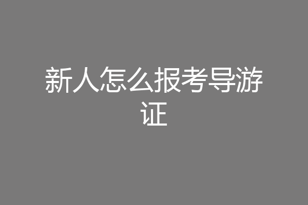 新人怎么报考导游证