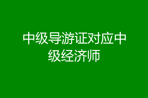 中级导游证对应中级经济师