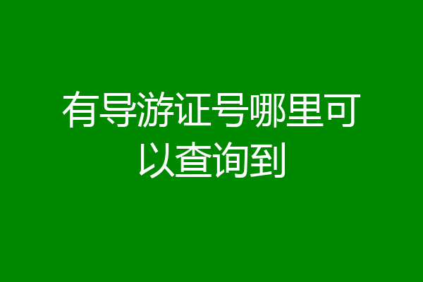 有导游证号哪里可以查询到