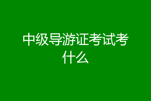 中级导游证考试考什么