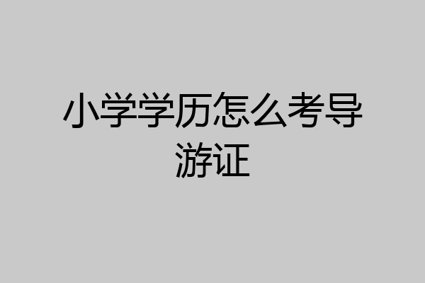 小学学历怎么考导游证