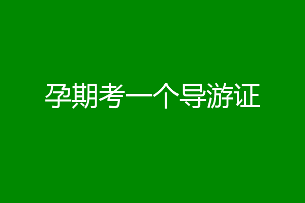孕期考一个导游证